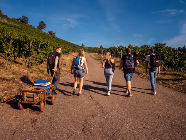 Weinwanderung